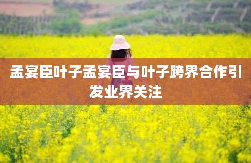 孟宴臣叶子孟宴臣与叶子跨界合作引发业界关注
