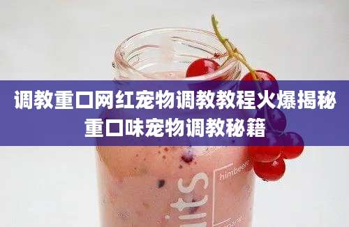 调教重口网红宠物调教教程火爆揭秘重口味宠物调教秘籍