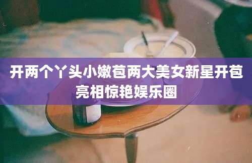 开两个丫头小嫩苞两大美女新星开苞亮相惊艳娱乐圈