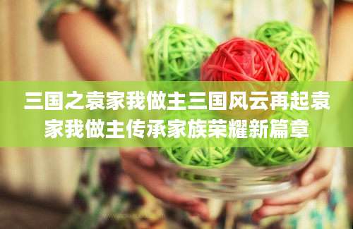 三国之袁家我做主三国风云再起袁家我做主传承家族荣耀新篇章