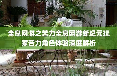 全息网游之苦力全息网游新纪元玩家苦力角色体验深度解析