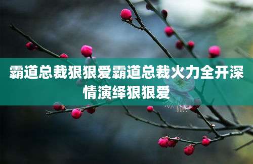 霸道总裁狠狠爱霸道总裁火力全开深情演绎狠狠爱
