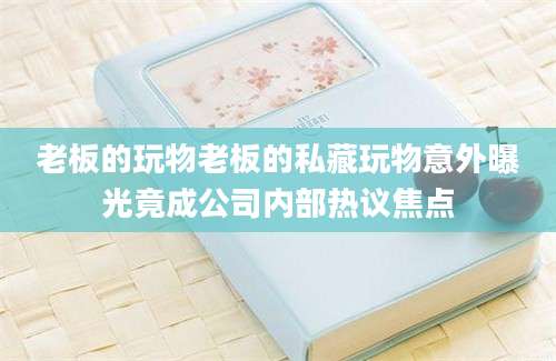 老板的玩物老板的私藏玩物意外曝光竟成公司内部热议焦点
