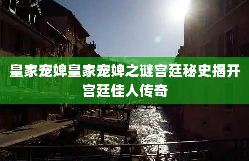 皇家宠婢皇家宠婢之谜宫廷秘史揭开宫廷佳人传奇