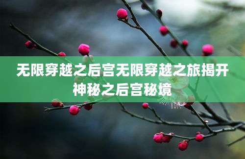 无限穿越之后宫无限穿越之旅揭开神秘之后宫秘境