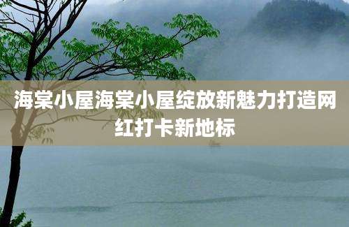 海棠小屋海棠小屋绽放新魅力打造网红打卡新地标
