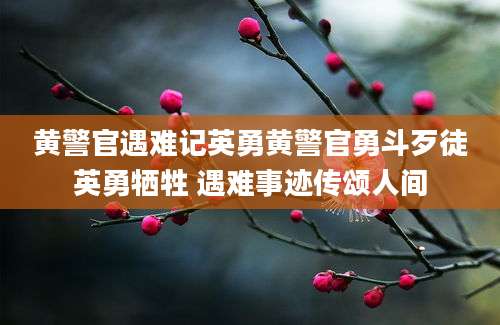 黄警官遇难记英勇黄警官勇斗歹徒英勇牺牲 遇难事迹传颂人间