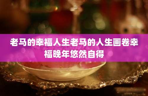 老马的幸福人生老马的人生画卷幸福晚年悠然自得