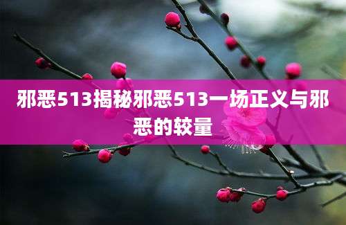 邪恶513揭秘邪恶513一场正义与邪恶的较量