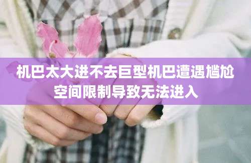 机巴太大进不去巨型机巴遭遇尴尬空间限制导致无法进入