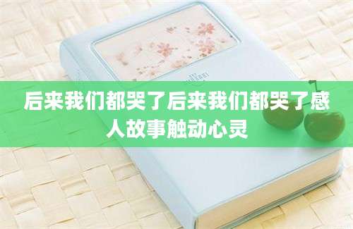 后来我们都哭了后来我们都哭了感人故事触动心灵