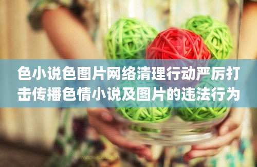 色小说色图片网络清理行动严厉打击传播色情小说及图片的违法行为