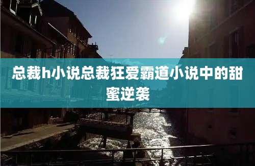 总裁h小说总裁狂爱霸道小说中的甜蜜逆袭