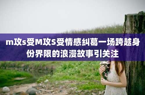 m攻s受M攻S受情感纠葛一场跨越身份界限的浪漫故事引关注