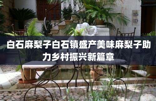 白石麻梨子白石镇盛产美味麻梨子助力乡村振兴新篇章
