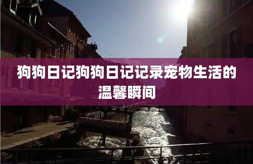 狗狗日记狗狗日记记录宠物生活的温馨瞬间