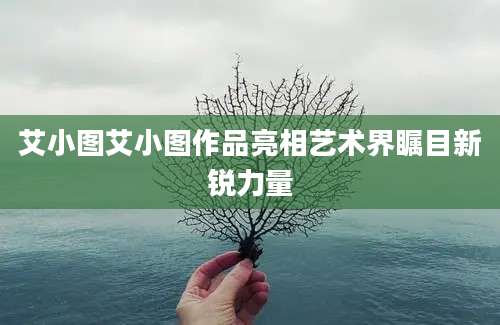 艾小图艾小图作品亮相艺术界瞩目新锐力量