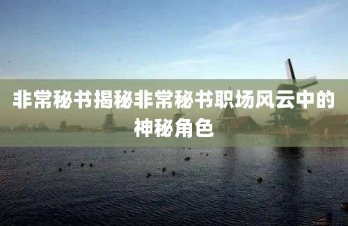 非常秘书揭秘非常秘书职场风云中的神秘角色