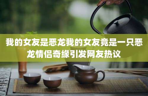 我的女友是恶龙我的女友竟是一只恶龙情侣奇缘引发网友热议