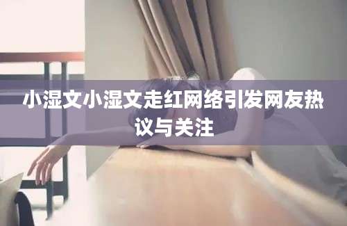 小湿文小湿文走红网络引发网友热议与关注