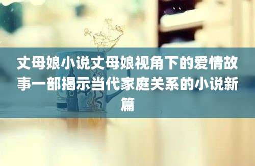 丈母娘小说丈母娘视角下的爱情故事一部揭示当代家庭关系的小说新篇