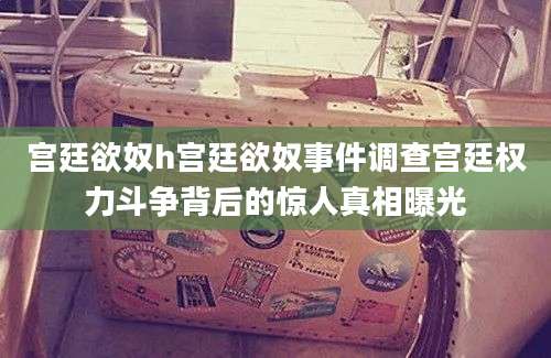 宫廷欲奴h宫廷欲奴事件调查宫廷权力斗争背后的惊人真相曝光