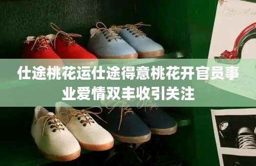 仕途桃花运仕途得意桃花开官员事业爱情双丰收引关注