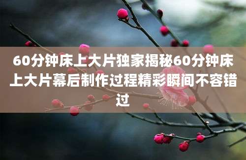 60分钟床上大片独家揭秘60分钟床上大片幕后制作过程精彩瞬间不容错过