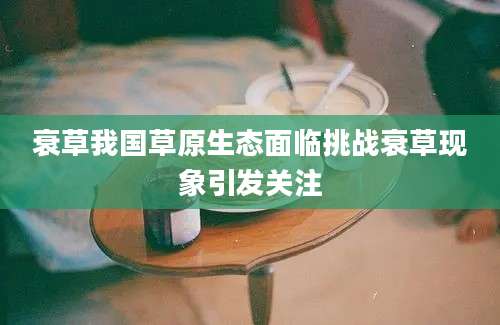 衰草我国草原生态面临挑战衰草现象引发关注