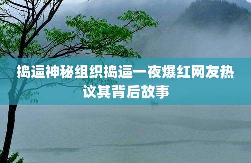 捣逼神秘组织捣逼一夜爆红网友热议其背后故事