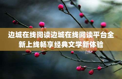 边城在线阅读边城在线阅读平台全新上线畅享经典文学新体验