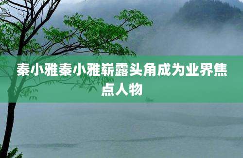 秦小雅秦小雅崭露头角成为业界焦点人物