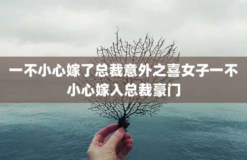 一不小心嫁了总裁意外之喜女子一不小心嫁入总裁豪门