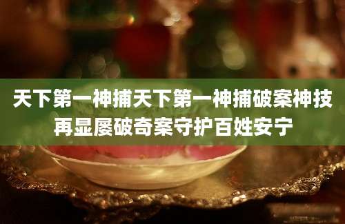 天下第一神捕天下第一神捕破案神技再显屡破奇案守护百姓安宁