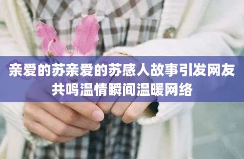 亲爱的苏亲爱的苏感人故事引发网友共鸣温情瞬间温暖网络