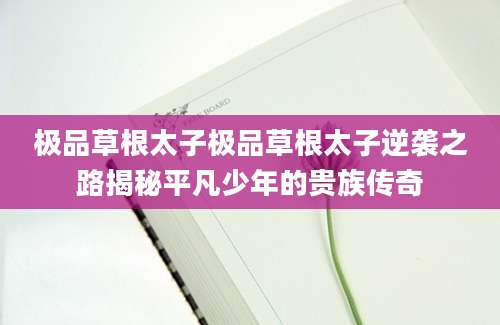 极品草根太子极品草根太子逆袭之路揭秘平凡少年的贵族传奇