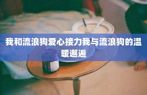 我和流浪狗爱心接力我与流浪狗的温暖邂逅