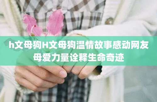 h文母狗H文母狗温情故事感动网友母爱力量诠释生命奇迹
