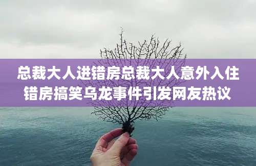 总裁大人进错房总裁大人意外入住错房搞笑乌龙事件引发网友热议