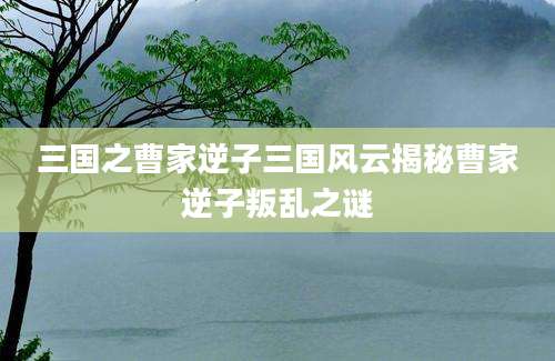 三国之曹家逆子三国风云揭秘曹家逆子叛乱之谜