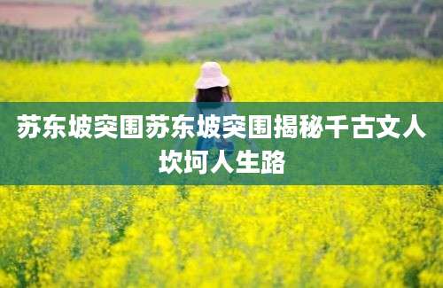 苏东坡突围苏东坡突围揭秘千古文人坎坷人生路