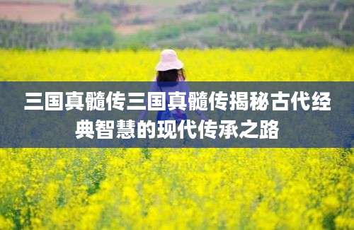 三国真髓传三国真髓传揭秘古代经典智慧的现代传承之路