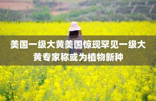 美国一级大黄美国惊现罕见一级大黄专家称或为植物新种