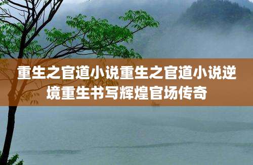 重生之官道小说重生之官道小说逆境重生书写辉煌官场传奇