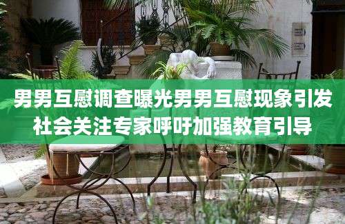 男男互慰调查曝光男男互慰现象引发社会关注专家呼吁加强教育引导