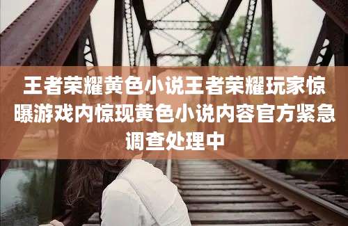 王者荣耀黄色小说王者荣耀玩家惊曝游戏内惊现黄色小说内容官方紧急调查处理中