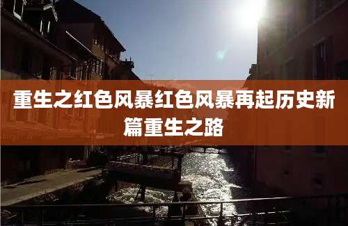 重生之红色风暴红色风暴再起历史新篇重生之路