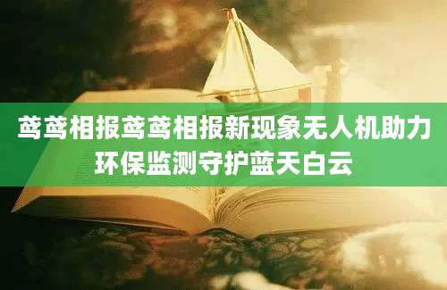鸢鸢相报鸢鸢相报新现象无人机助力环保监测守护蓝天白云