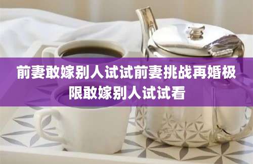 前妻敢嫁别人试试前妻挑战再婚极限敢嫁别人试试看