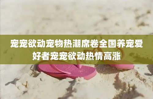 宠宠欲动宠物热潮席卷全国养宠爱好者宠宠欲动热情高涨